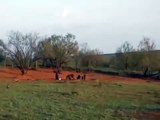 Stupid Rednecks Hunting Wild Hogs Using Explosives