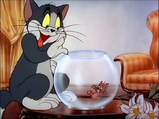 Tom and Jerry, 6 Episode - Puss n’ Toots (1942) Hindi/Urdu HD