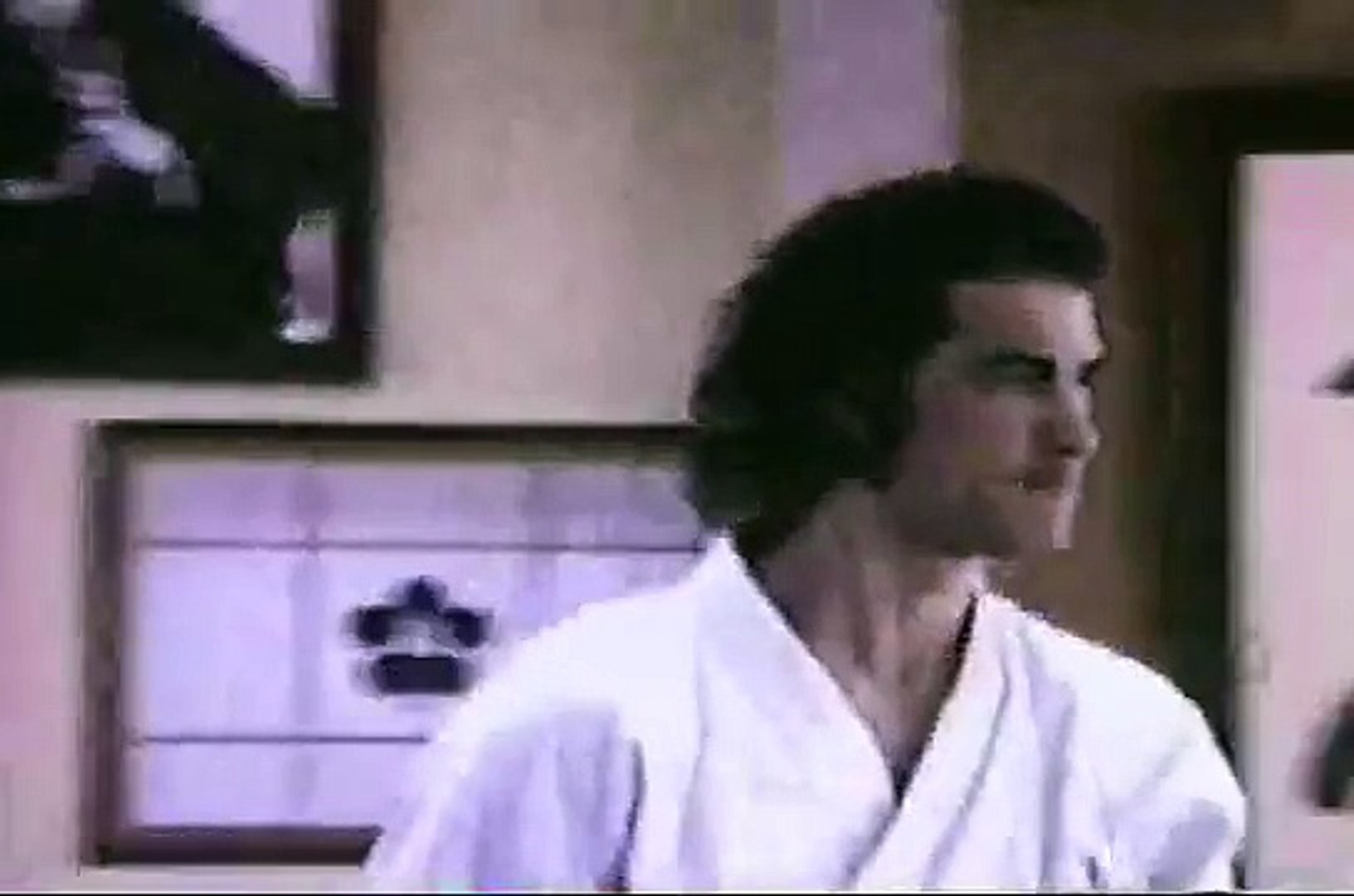 Steven Seagal Aikido Randori Video Dailymotion