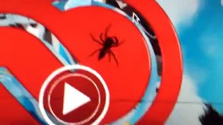 Angry Spider Attacks Desktop Cursor