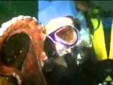 Giant Octopus Kills Diver