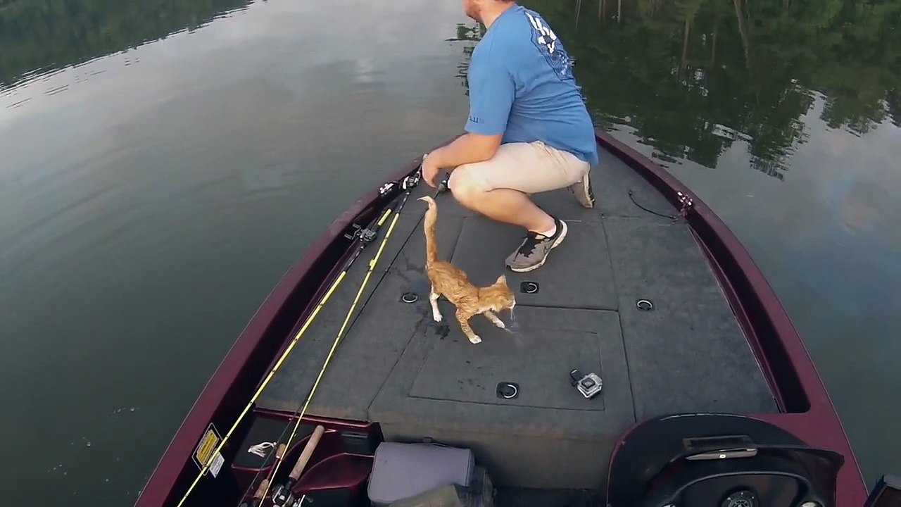 Catfishing