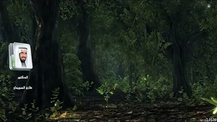 قصة حياة سيرة الامام الشافعى الشيخ طارق السويدان الحلقة 2