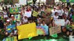 Brasileiros no Hawaii - Apoio as manifestações 