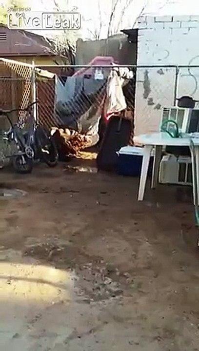 Trolling The Tweaking Tweaker Today