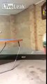 Kid throws Ping Pong Bat at older brother and screams when he realized what he'd done
