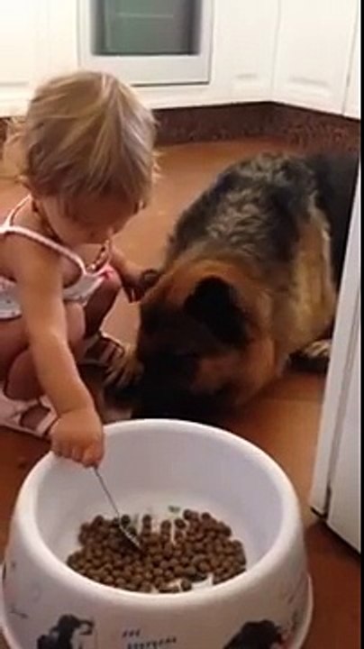 Niña da de comer a un perro