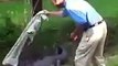 Golf Stupidity, how not to get your golf ball under a gator