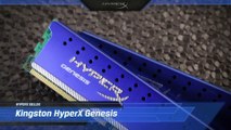 Kingston HyperX Genesis Bellek