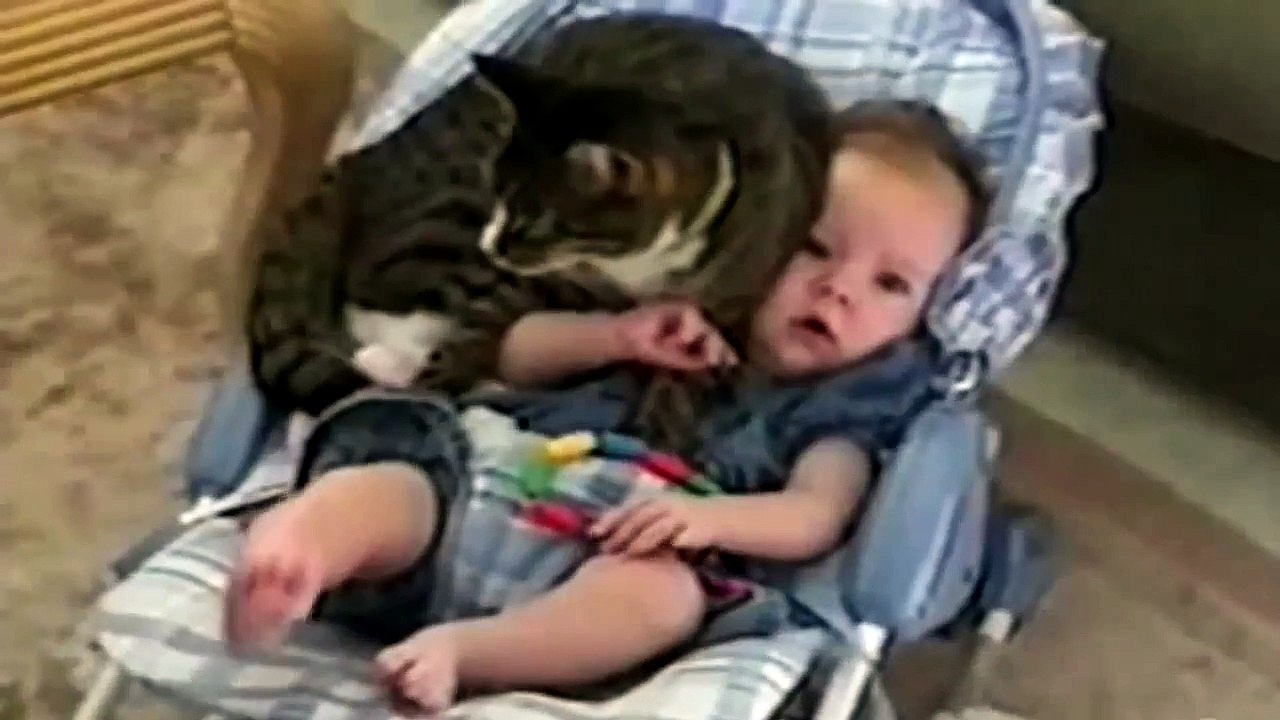 Gatti Carino E Bambini Adorabili: Compilazione