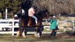 Trixy - Shire horse - chasing Karen, Keith riding