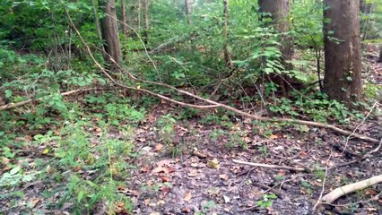 Minecraft In Real Life Skit