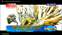On The Spot - 7 Batu yang Tidak Boleh Dijadikan Batu Cincin