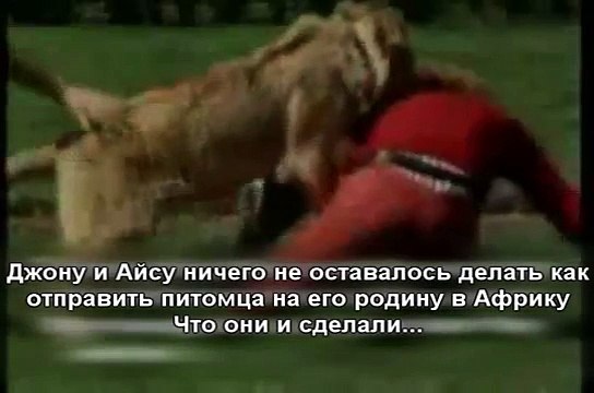 Лев Кристиан. История о настоящей дружбе.