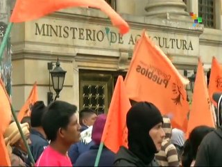 From the South - Guatemala Celebrates