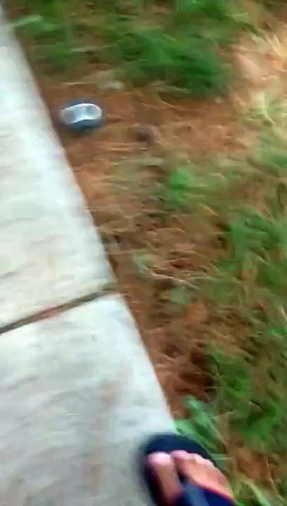 3 year old sings Becky g so cute