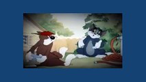 Tom And Jerry Cartoon - Sufferin' Cats!