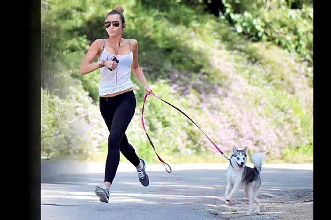 Sexiest Miley Cyrus Funny Dog Collection