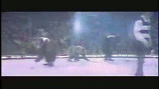 Just some bears playing hockey
