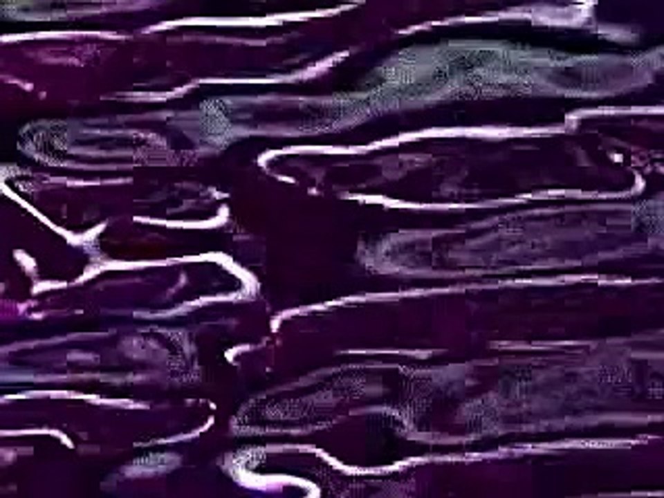 watermark