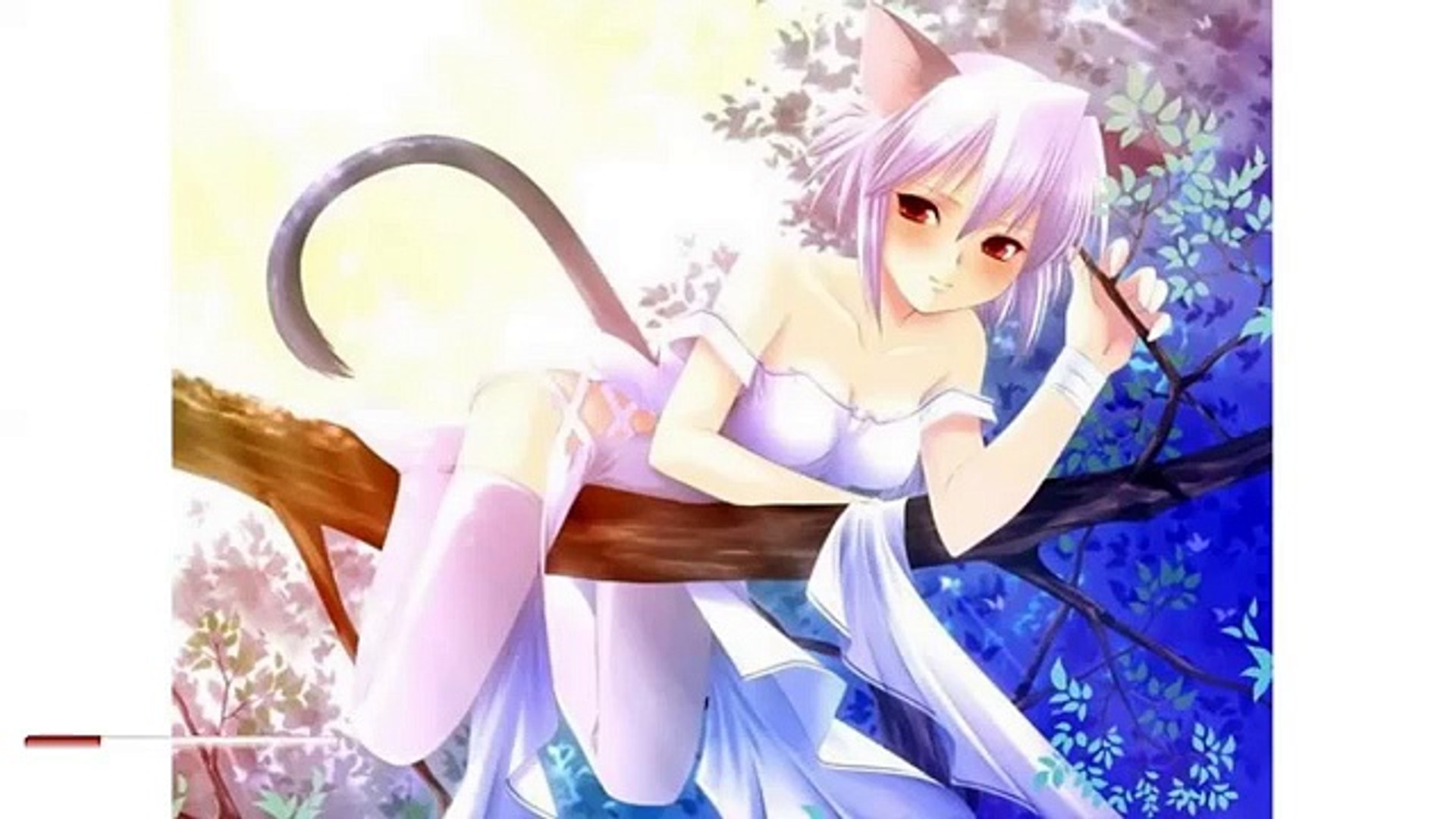 Cat Girl - Cute Cats