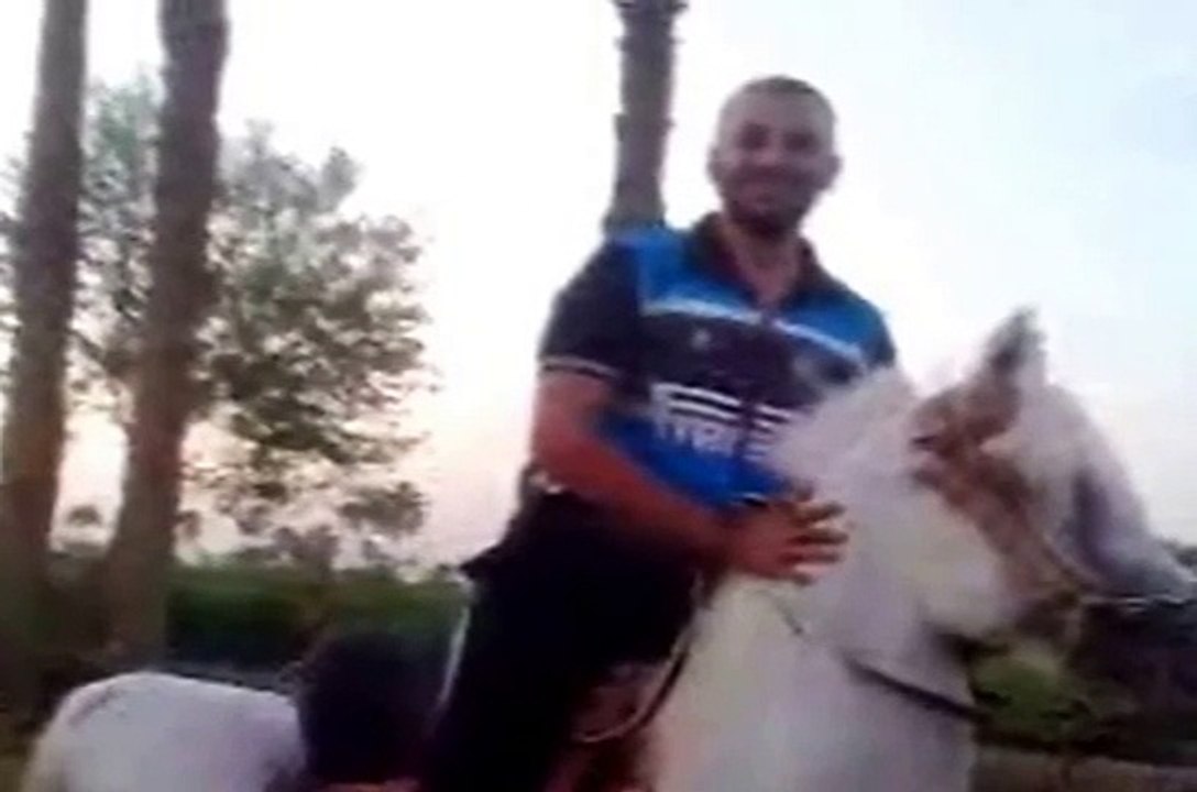 الحصان الرهيب