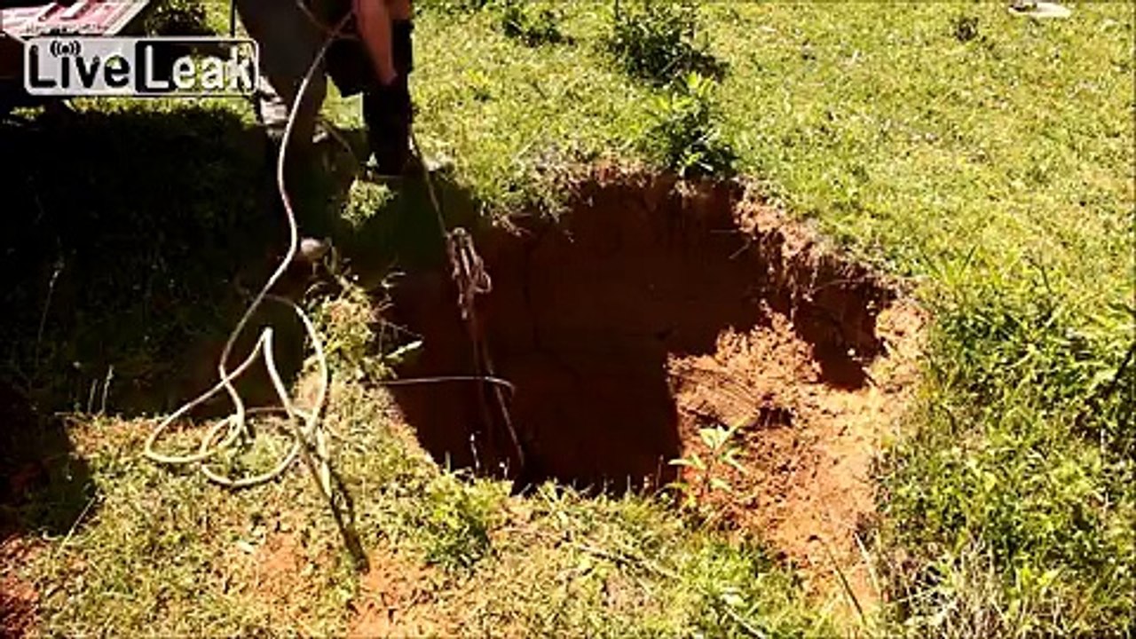 Rescuing a calf from a cave