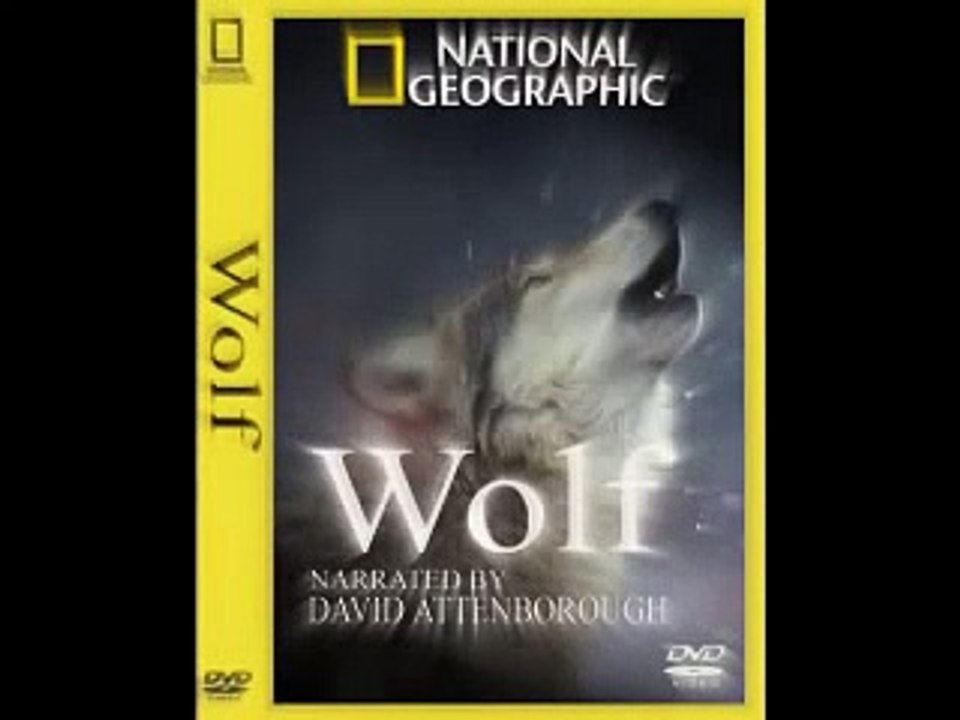 Wolf OST- Race Against The Moon Light-National geographic