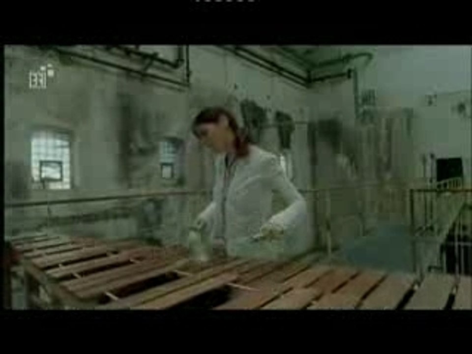 Fred Frith & Evelyn Glennie