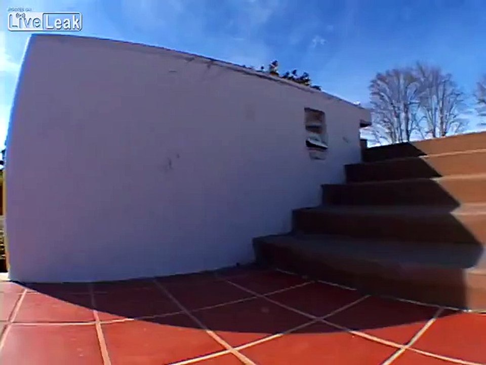 Leprechaun Nut Shot Skate Fail