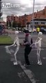 the dancing skeletons