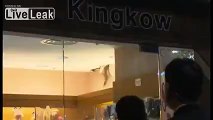 Boar falls through roof and causes mayhem inside shop