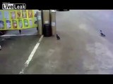 Cat catches pigeon in mid air then catches car tire.