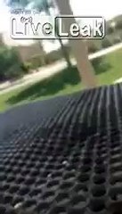 Neighbor gets outed by hookers pimp! Tell this guys wife he's hiring escorts!