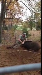 Your not doing it right