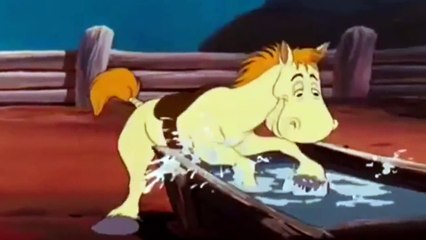 Donald Duck Dude Duck