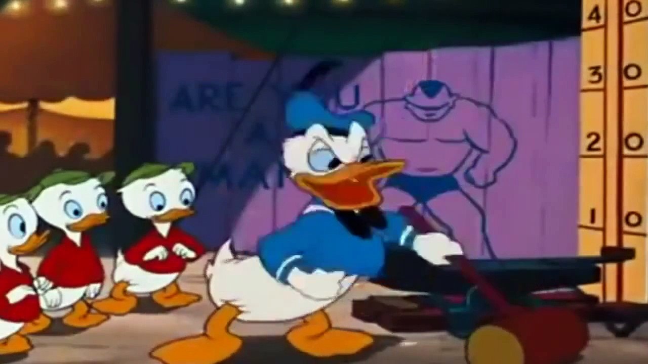 Donald Duck Canvas Back Duck