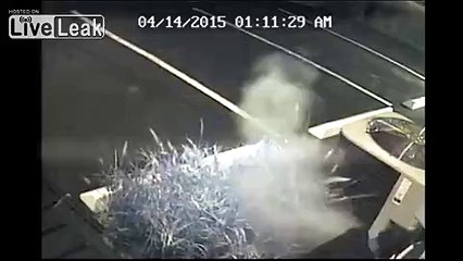 Copper Thief Destroys Earth's Ozone Layer