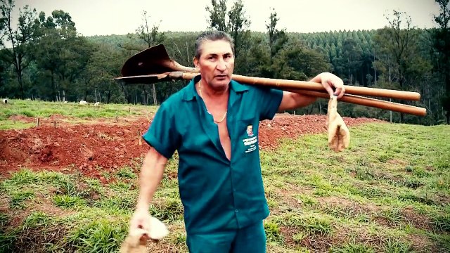 PROFISSÃO REPÓRTER 01-09-2015 - Desaparecidos - Parte Única Online Online Completo Íntegra TV Globo 01/09/2015 HD 720p