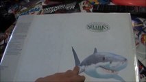 The Hilarious Thoughts of Cartoon Sharks