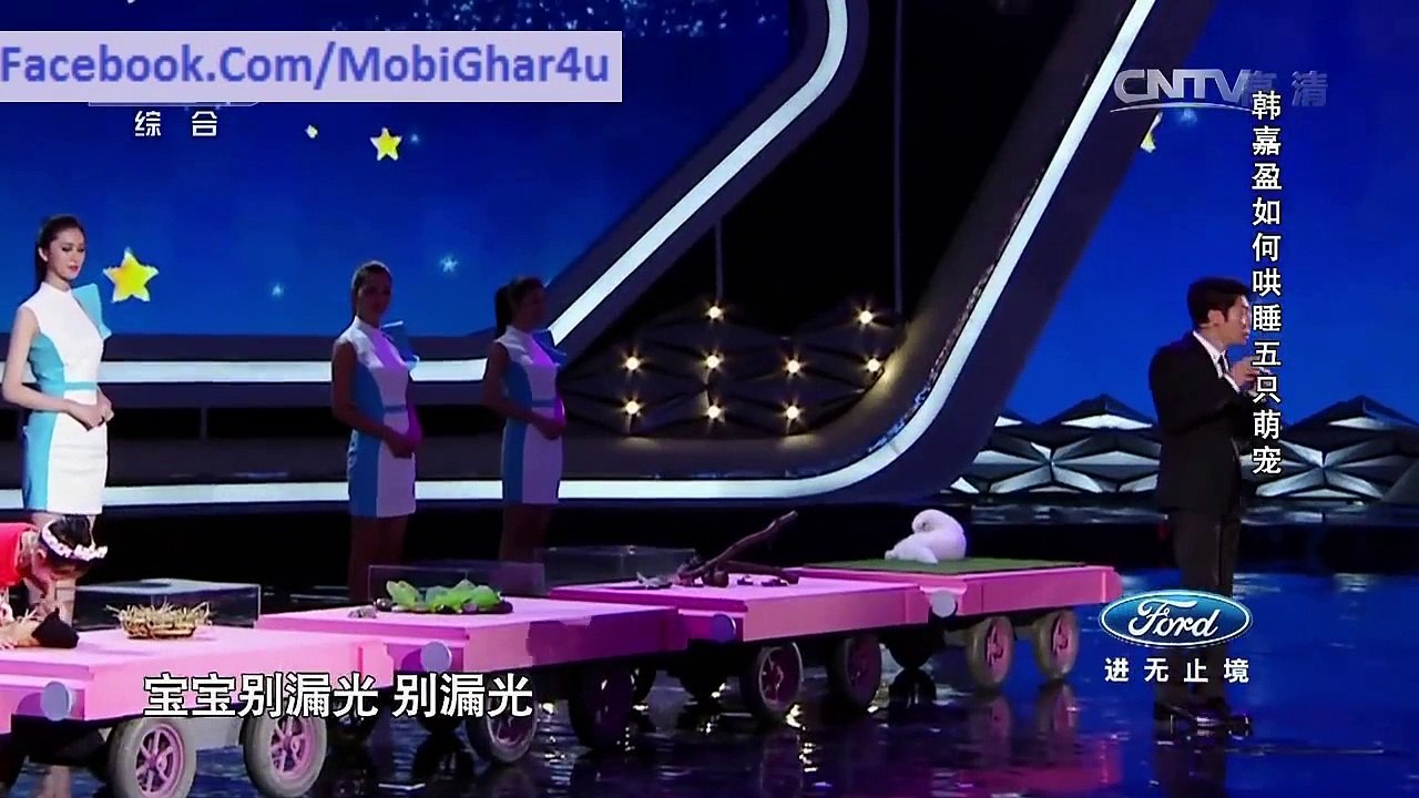 Girl from China can Hypnotize to Animals_MobiGhar Amazing Videos