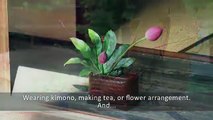 The Way of Tea: The Japanese Tea Ceremony