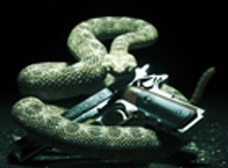Hitman Absolution