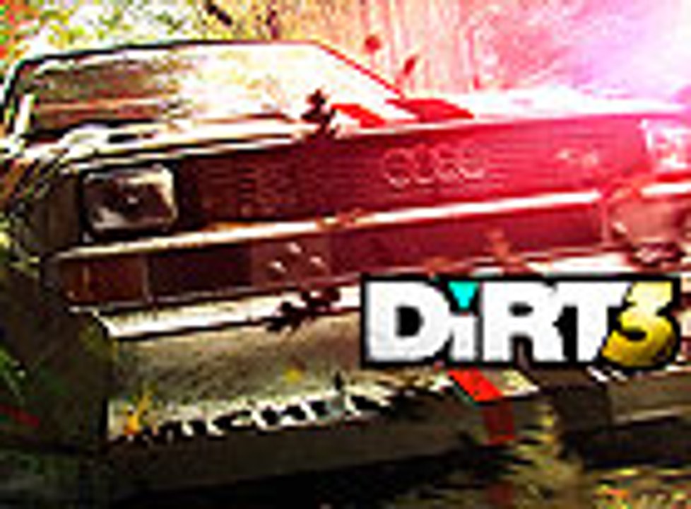 DiRT 3, in-Game
