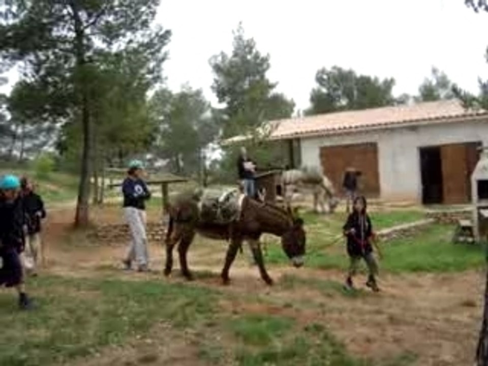 départ des ânes