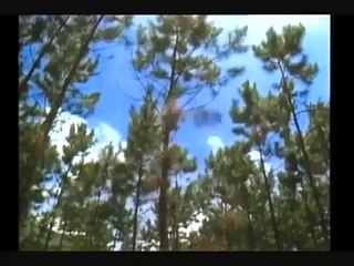 Pendekar Rajawali Indonesia opening version