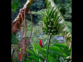 tourisme en Guadeloupe ?