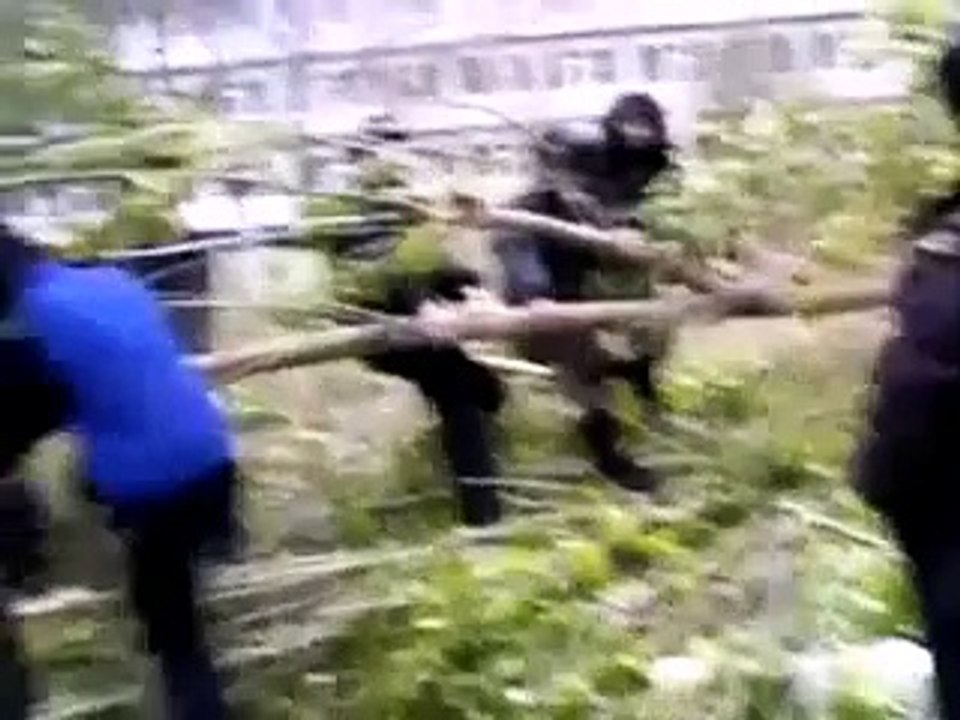 break branch