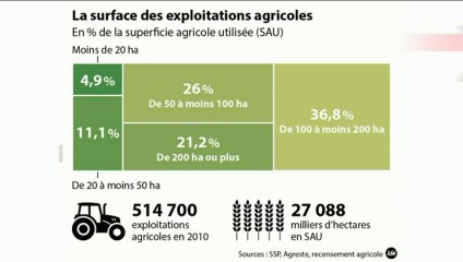 L'édito éco : "L'agriculture française dans le marché mondial"