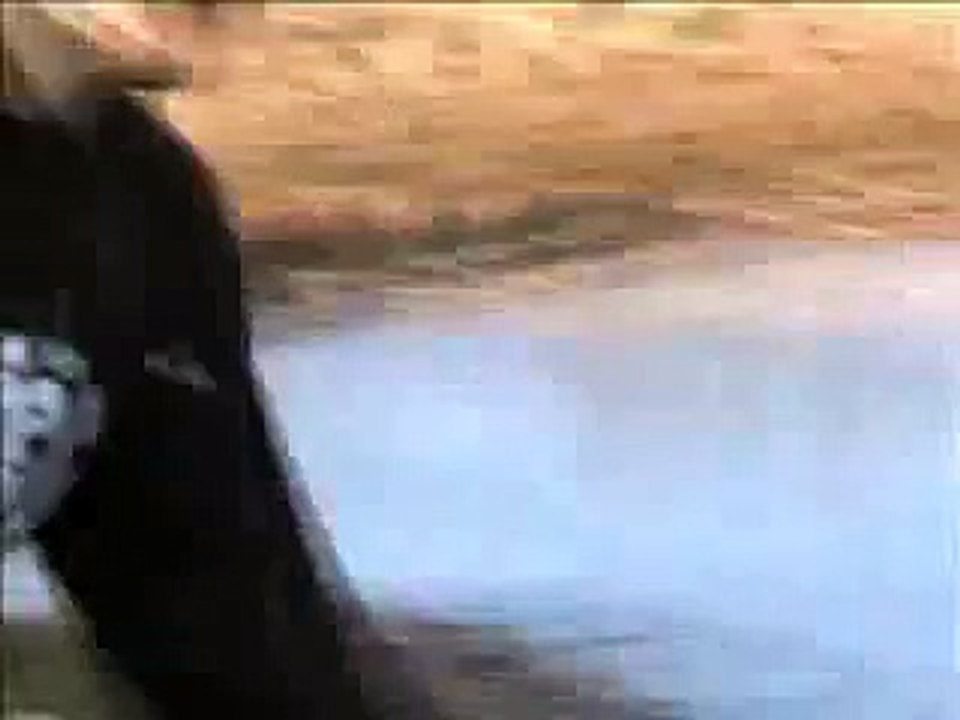 thin ice